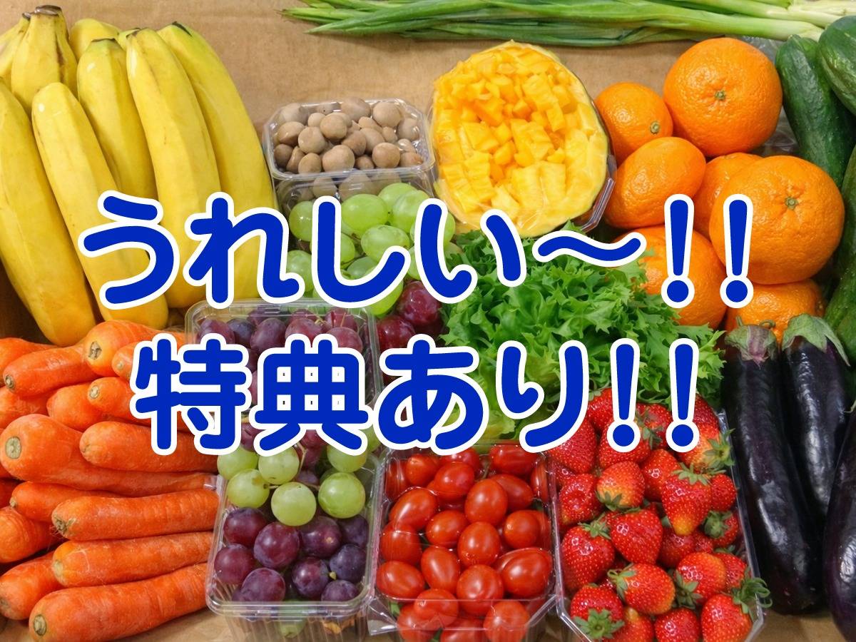 株式会社グリーンプロセス 袋詰め・仕分け 女性スタッフ募集