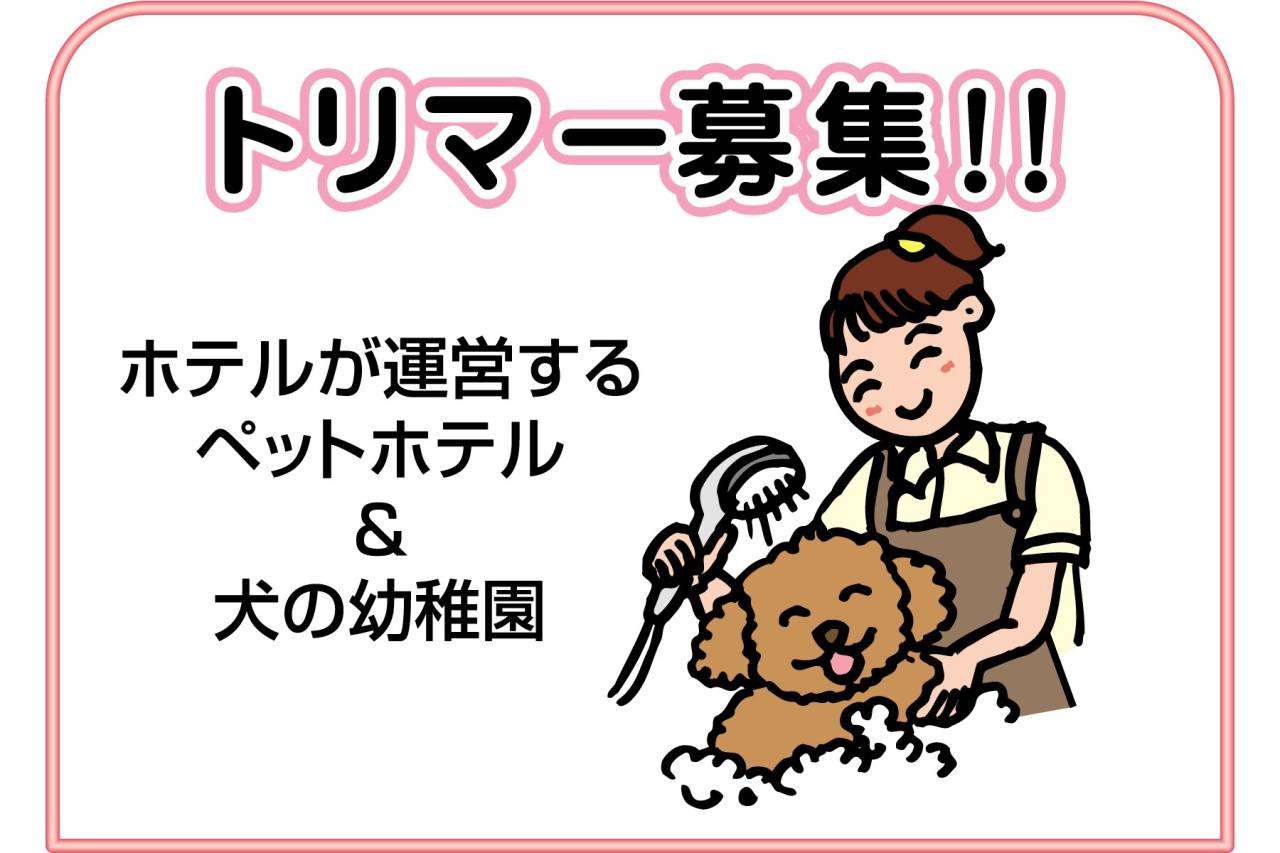 神戸ベイシェラトン ホテル&タワーズ ドッグトリマー(正社員)募集!
